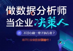 成都数据分析培训课程