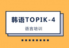 TOPIK-4γ