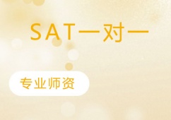 苏州SAT一对一