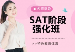 SAT׶ǿ